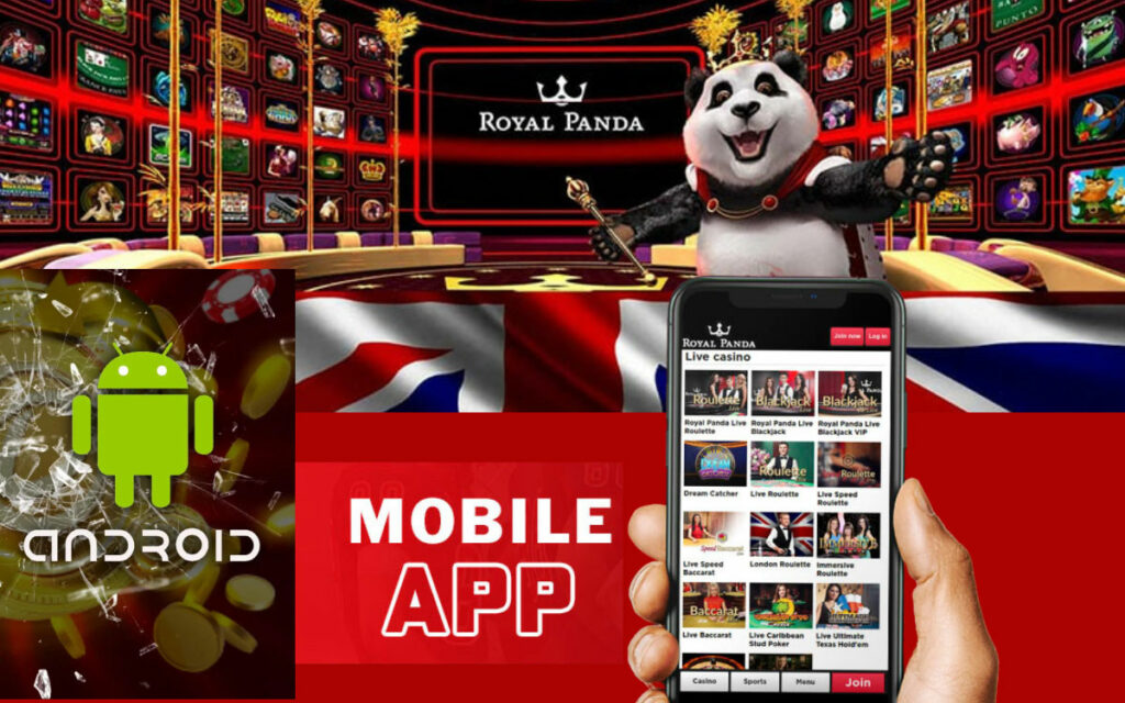 Royal Panda cricket betting applications
